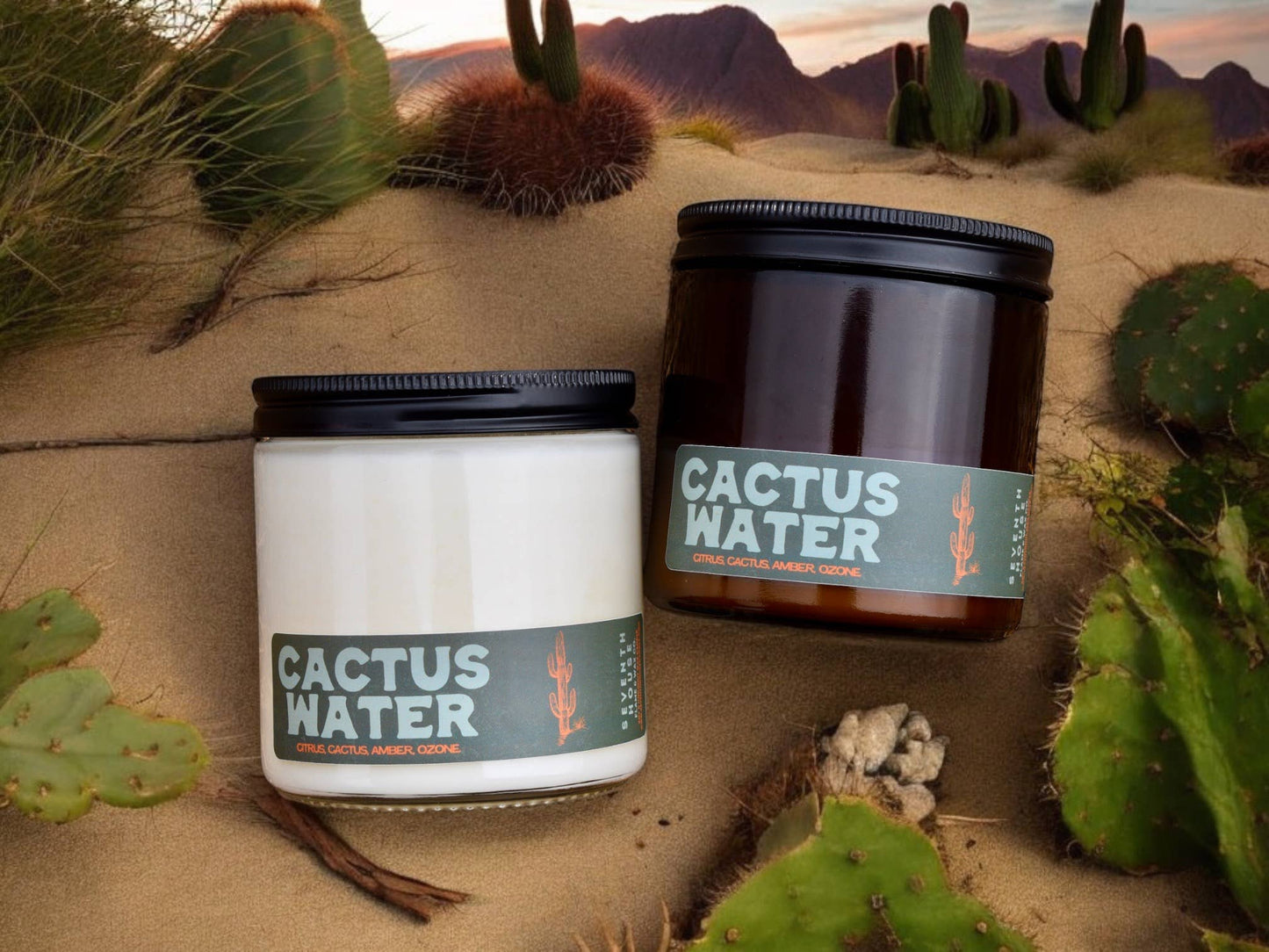 CACTUS WATER - Citrus, Cactus, Amber, Ozone Candle