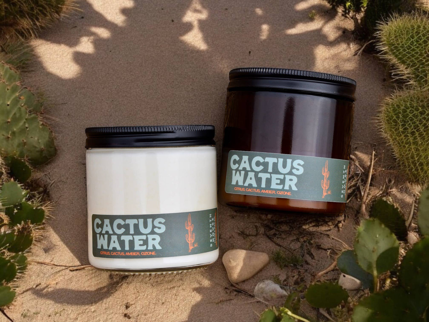 CACTUS WATER - Citrus, Cactus, Amber, Ozone Candle