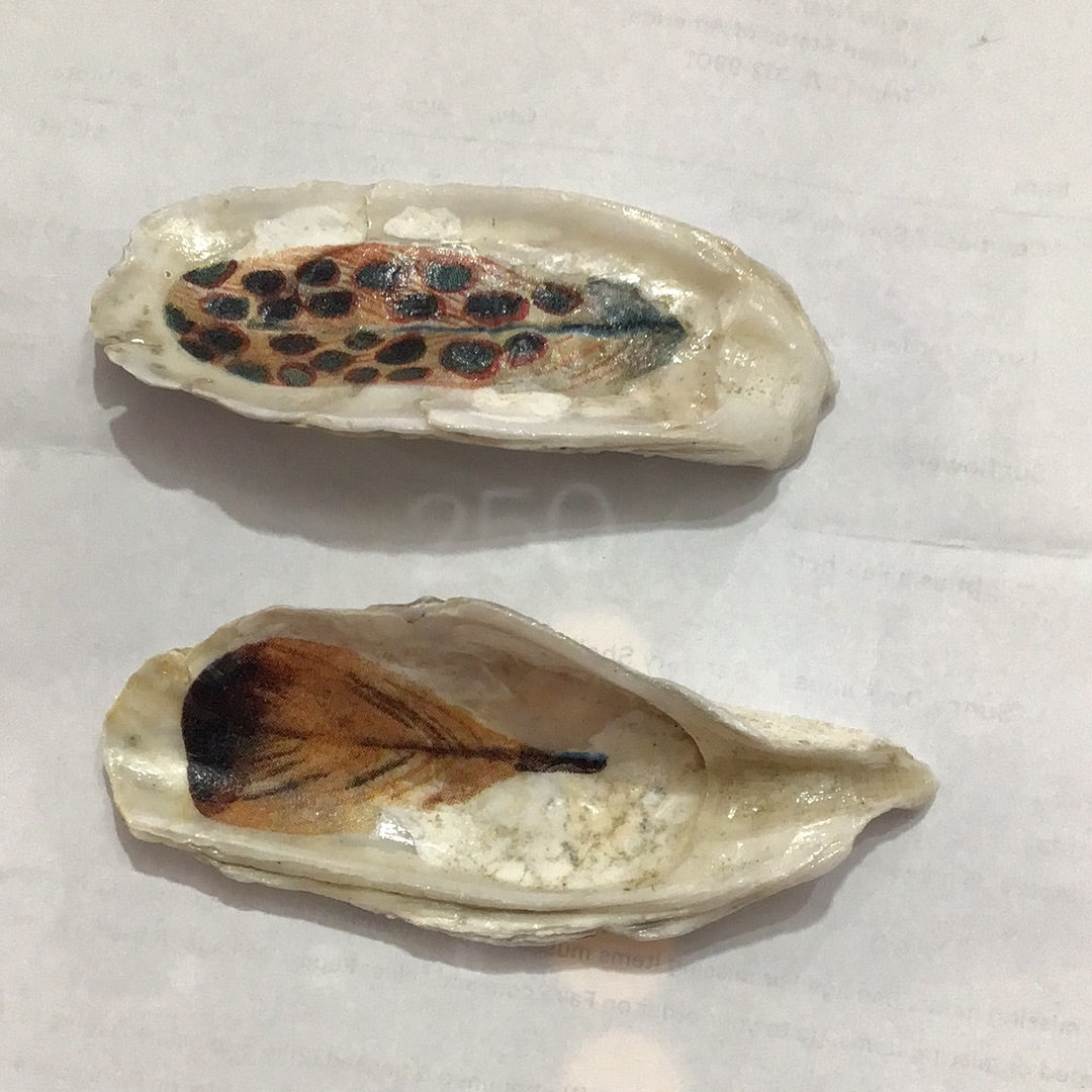 Feather shells