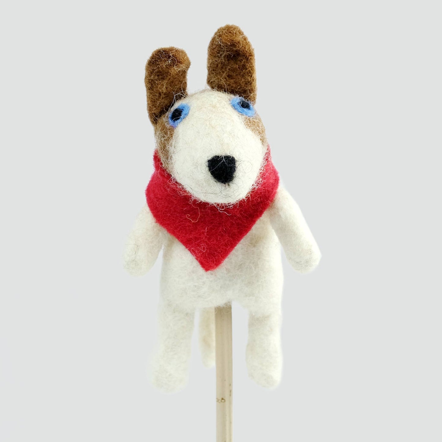 Finger Puppet - Dogs - Assorted