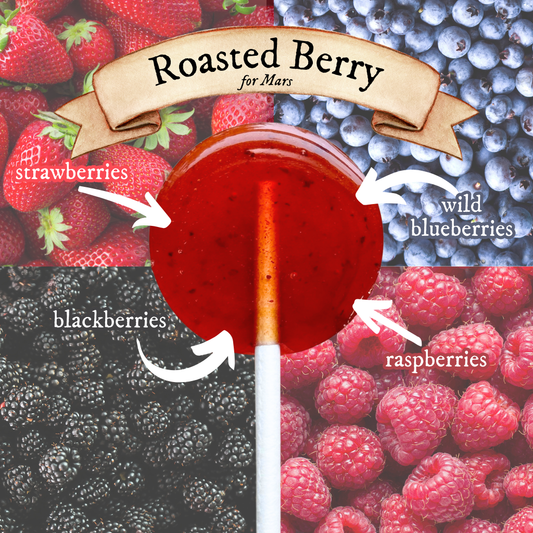 Plants & Planets Lollipops - Roasted Berry