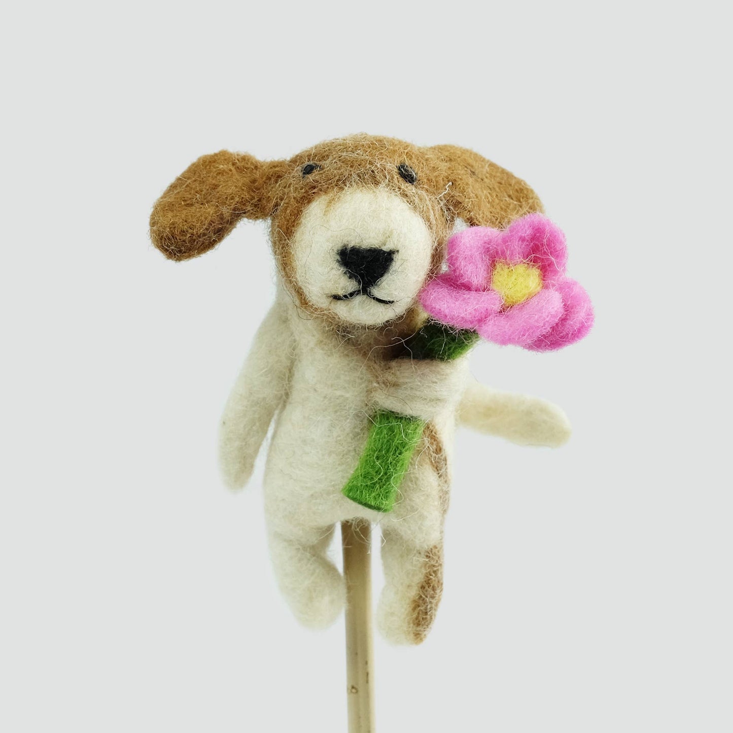 Finger Puppet - Dogs - Assorted