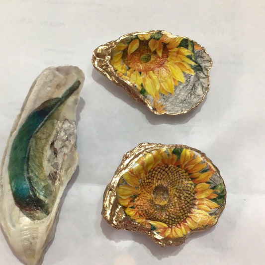 Shells